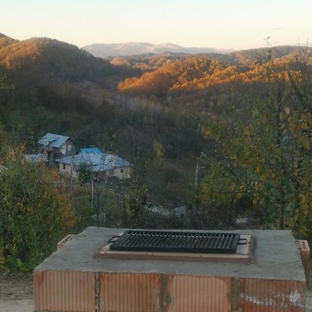 Cabanuta Fara Fite Βίλα Provita de Jos Εξωτερικό φωτογραφία