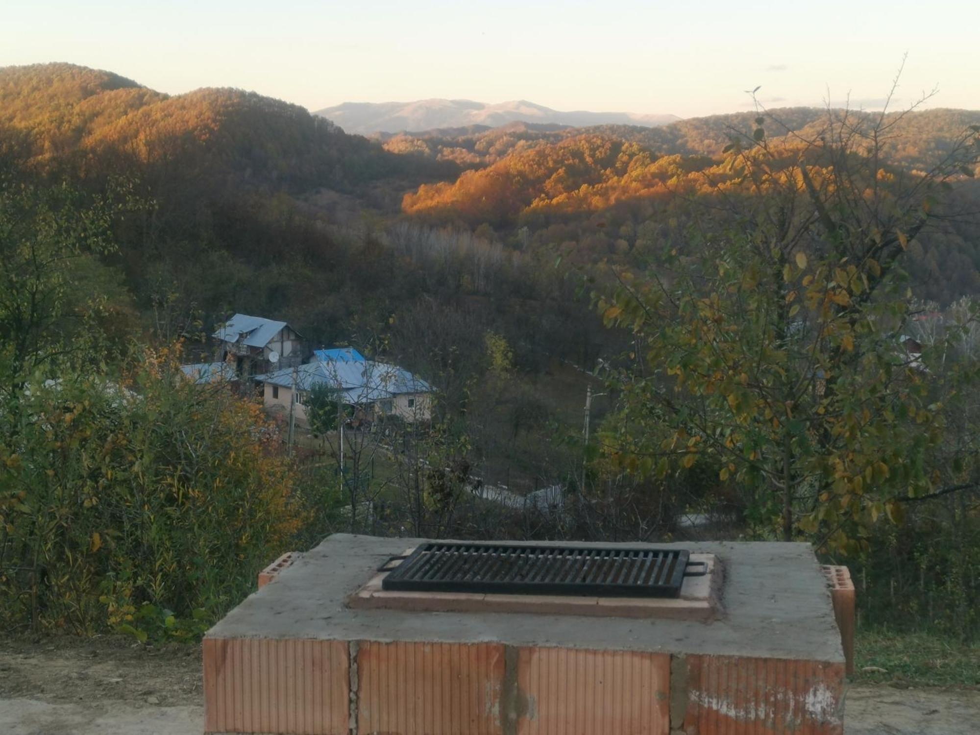 Cabanuta Fara Fite Βίλα Provita de Jos Εξωτερικό φωτογραφία